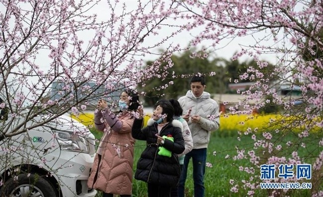 花都开好了 春天 开启川西平原花季之旅 腾讯新闻