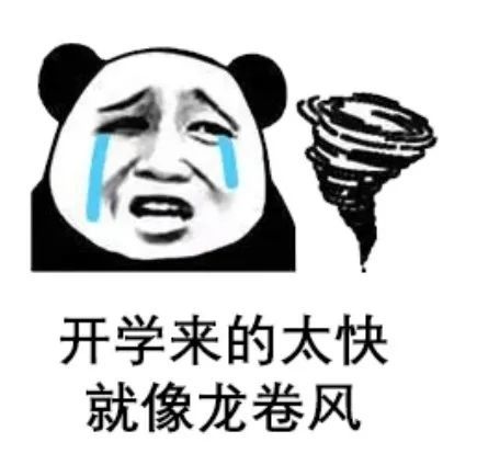 "神兽归笼"!开学第一课学什么?