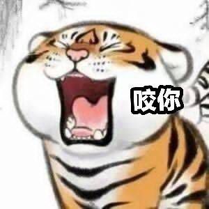 小老虎表情包可爱到爆