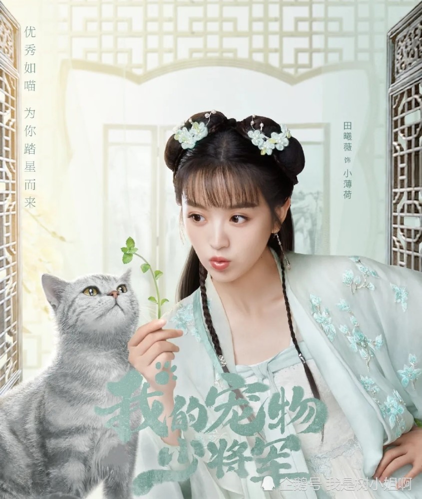 我的宠物少将军 猫星霸道总裁邂逅甜美少女 人猫相恋太甜了 腾讯新闻