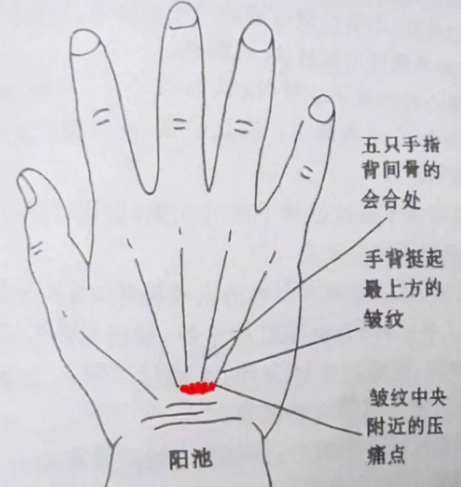 血糖|一旦血糖高，少做3事，少吃3白，记住4个字，稳定血糖，更健康