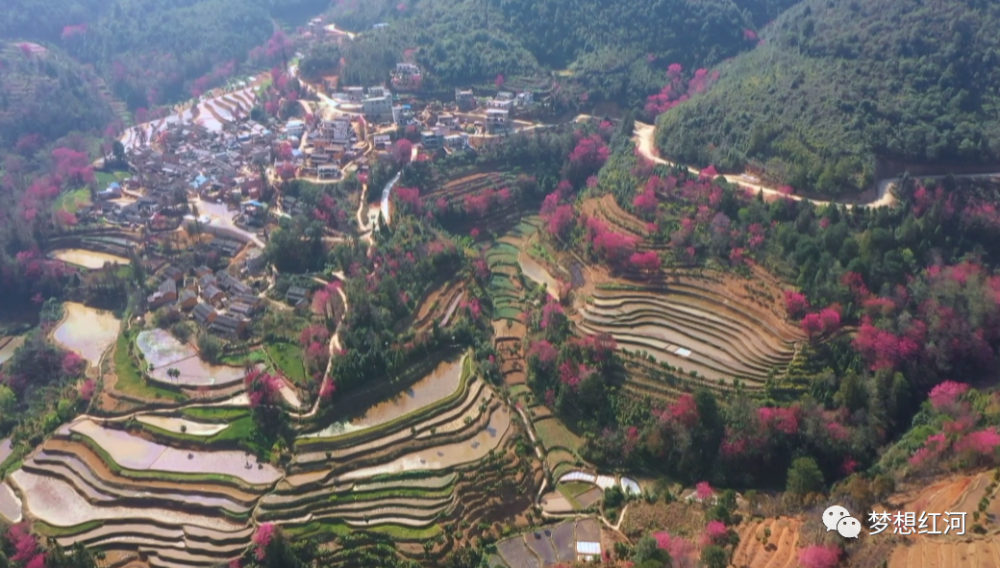 打卡红河县最美乡村大羊街