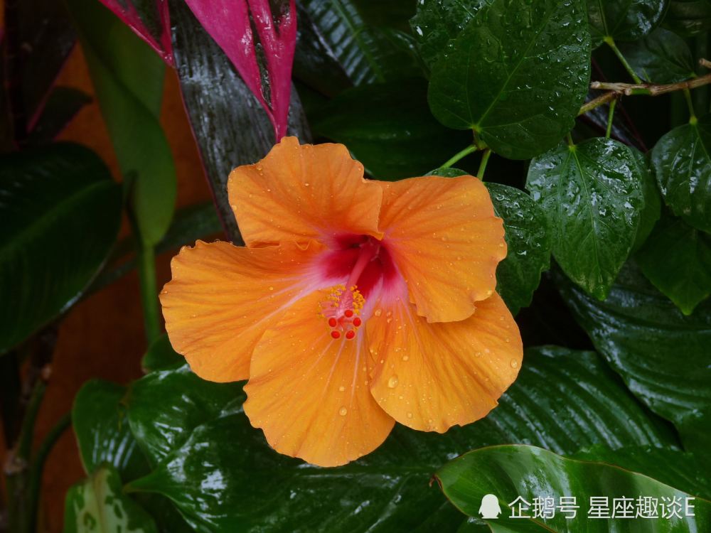 3月2日星座运势 贵人相助 诸事顺遂的四大星座 腾讯新闻