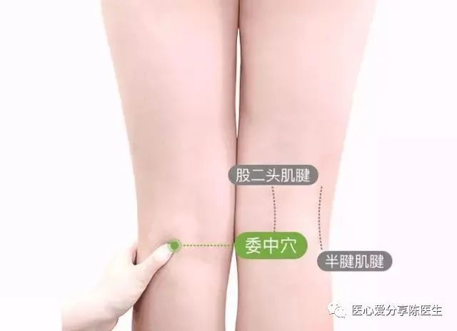 委中求腰背反向思维轻松搞定难以治愈的腘窝疼痛