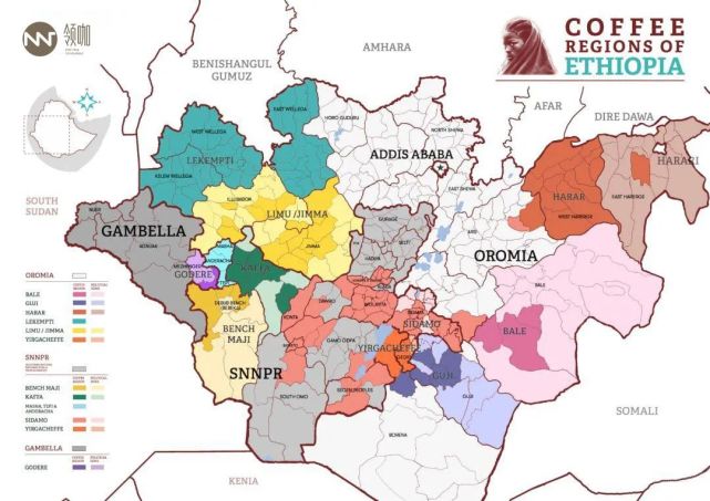 产地介绍丨咖啡的发源地埃塞俄比亚ethiopia