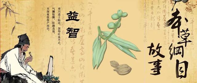 本草纲目|《本草纲目》故事：药食同源话益智