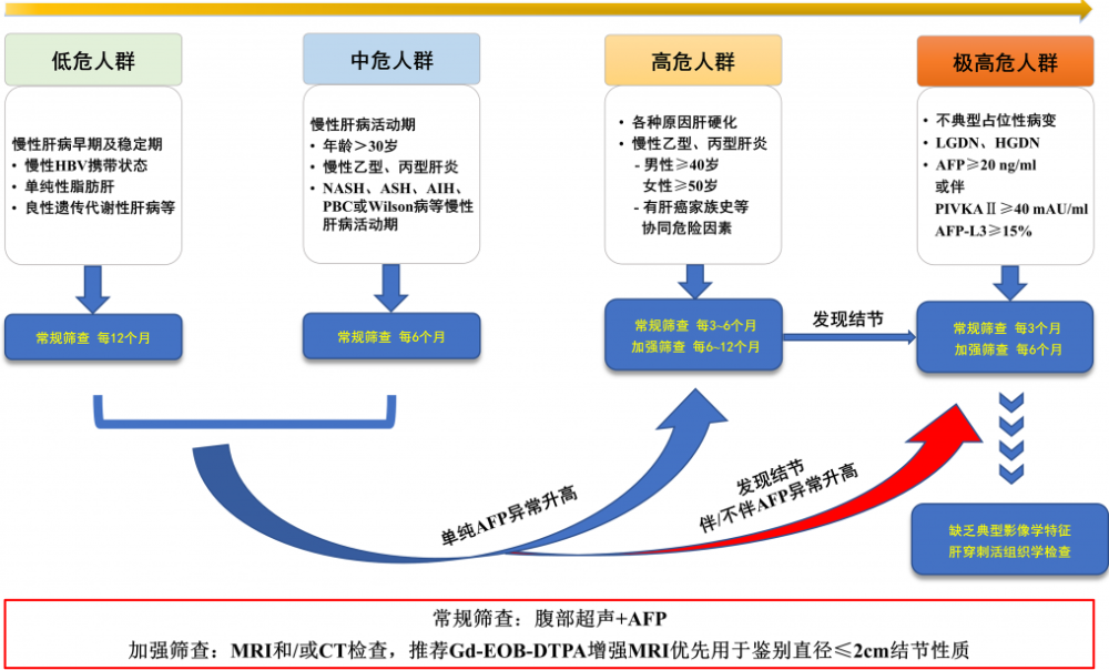 依據慢性肝病患者hcc危險分層,建議常規篩查採用腹部超聲及血清afp,低