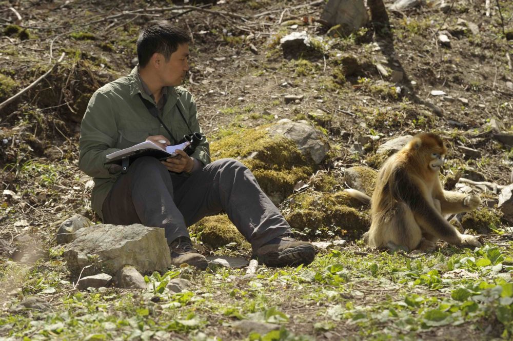 郭松涛|“猴脸识别技术”负责人：可识别41种灵长类、4种肉食性动物