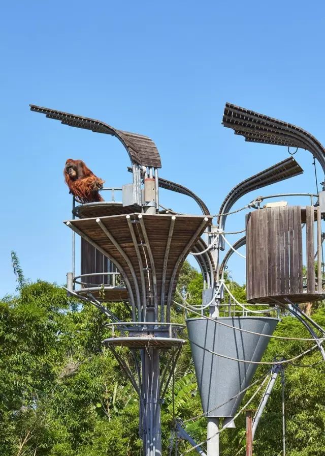 这些专门为动物设计的"豪宅",简直太有爱了!