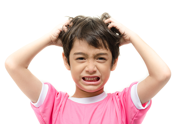 虱子|明明很干净，为什么还会长虱子？什么样的人容易感染虱子？