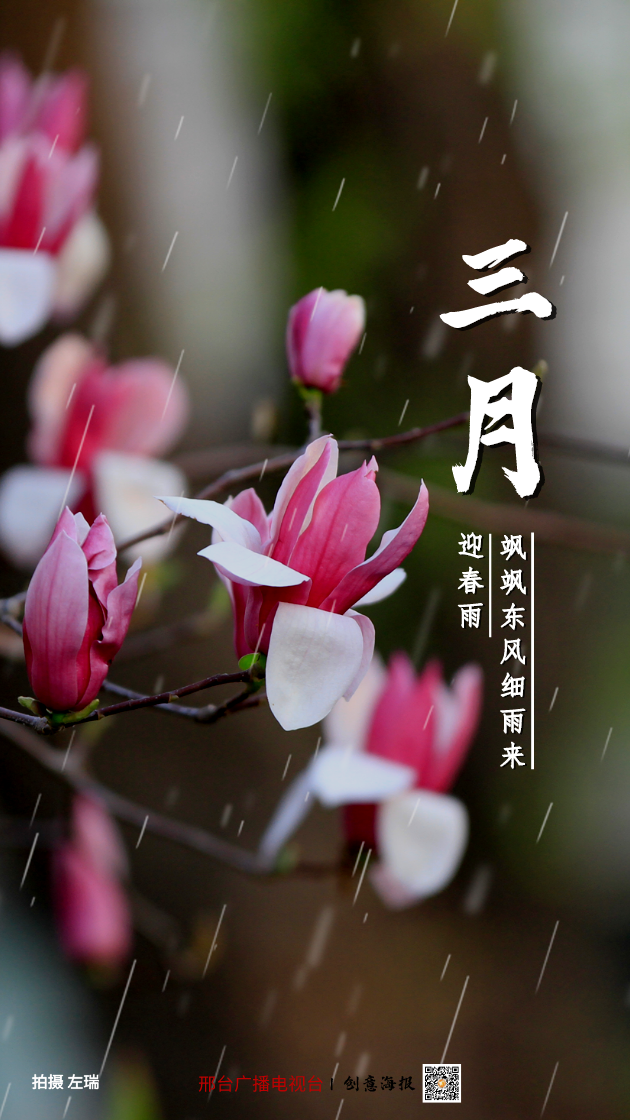 海报三月拥抱春天