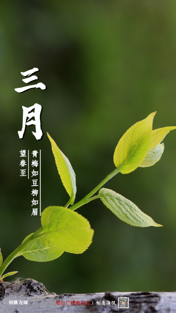 海报三月拥抱春天