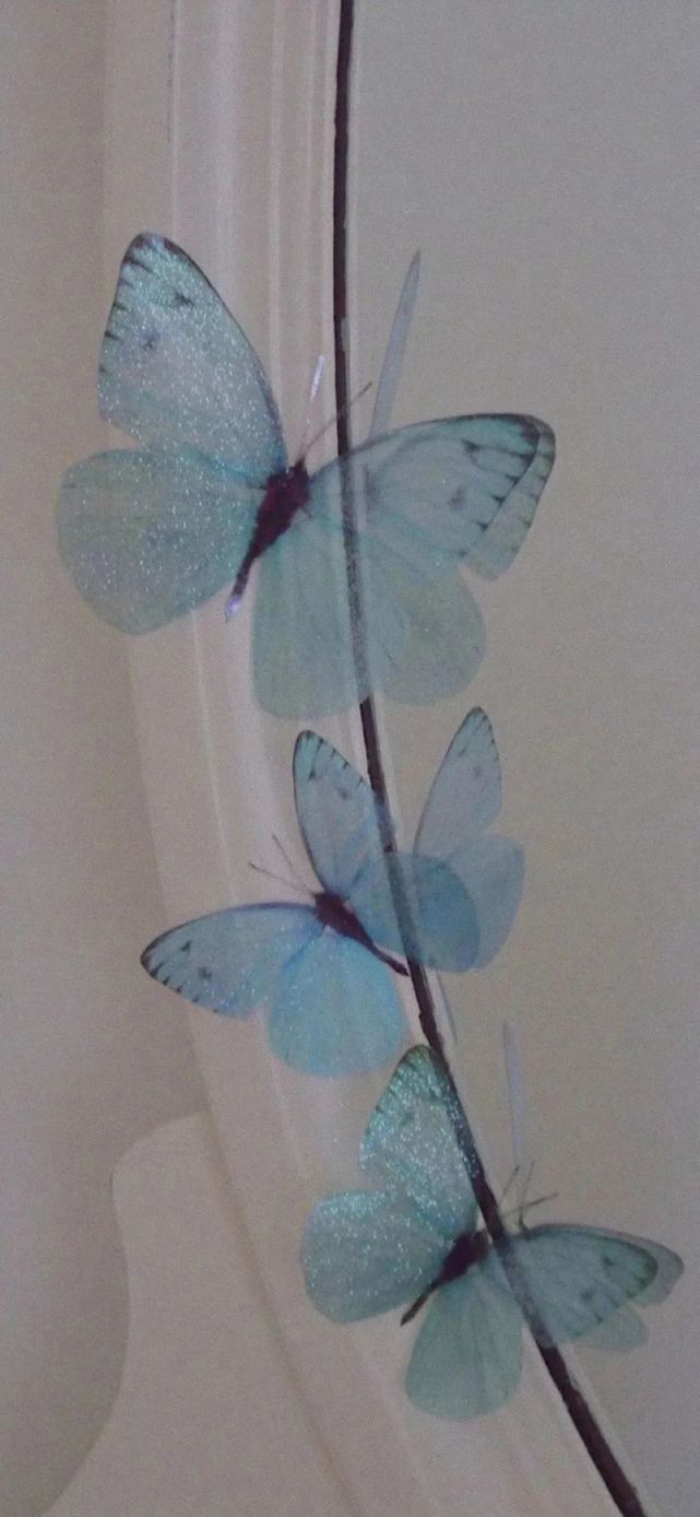 全面屏壁纸 干净治愈壁纸 壁纸 春夏