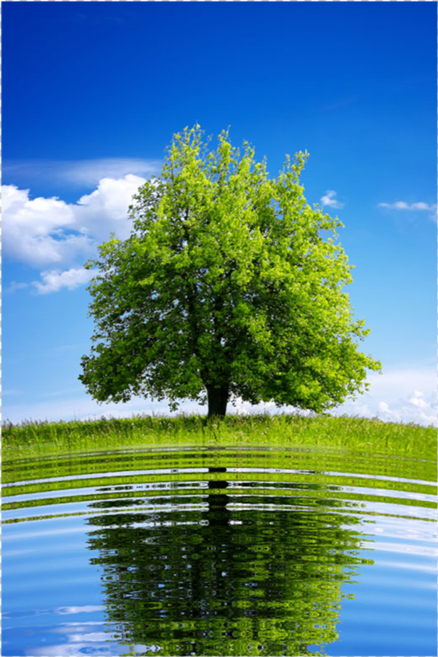 宇宙|宇宙可观测直径达930亿光年，地球如此渺小，我们存在有何意义