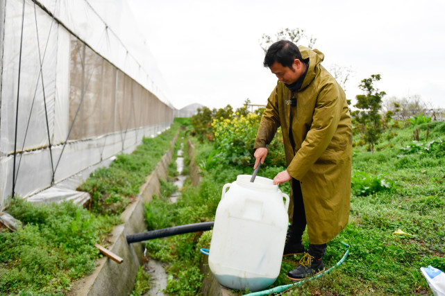 在吴兴高新区灵粮农场的樱桃大棚外将肥料放入水肥一体化灌溉设备中