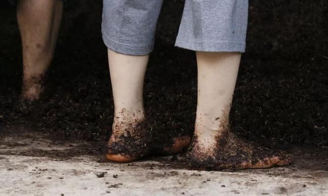 茅台少女光脚踩曲热议,要求28岁以下,还必须211或双一流大学生