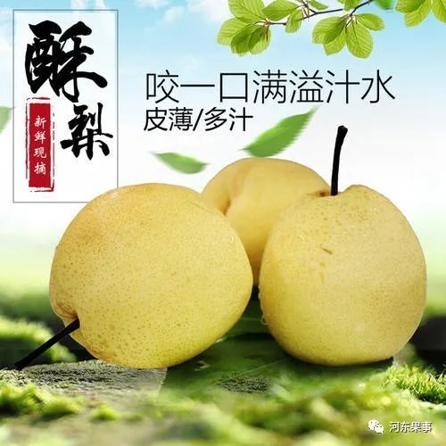 运城地区|种植梨树的运城果农必看，大有受益