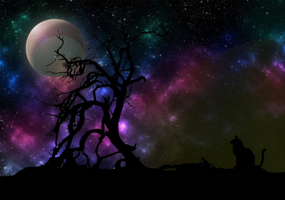 宇宙|宇宙的外面是什么？科学家给出了有趣的答案，你是否会认同？