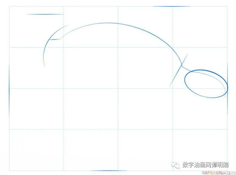 海龟|如何画海龟，教美术如何画动物