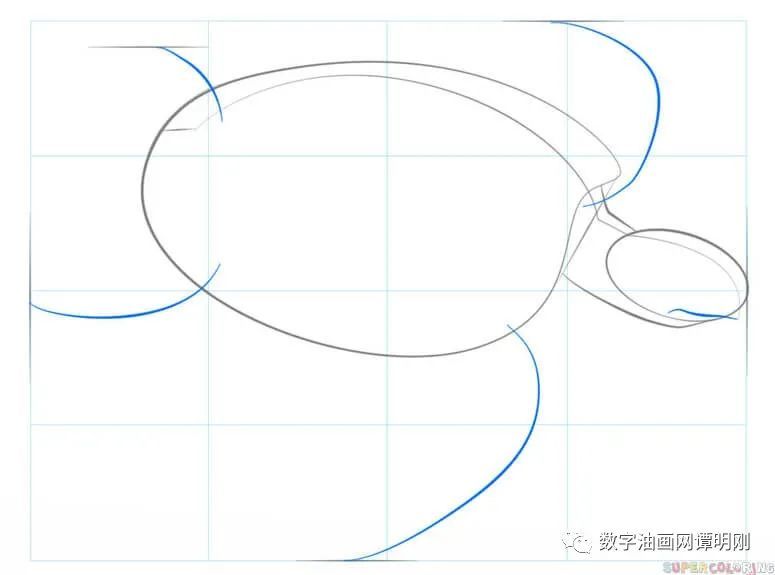 海龟|如何画海龟，教美术如何画动物
