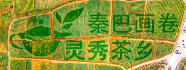 汉中油菜花节西乡主会场之高土坝 腾讯新闻