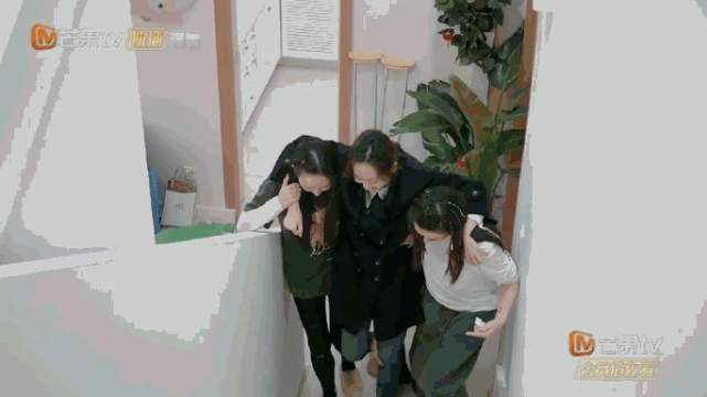 张柏芝和胡静背受伤王鸥上楼,那英排练时找到导师感觉