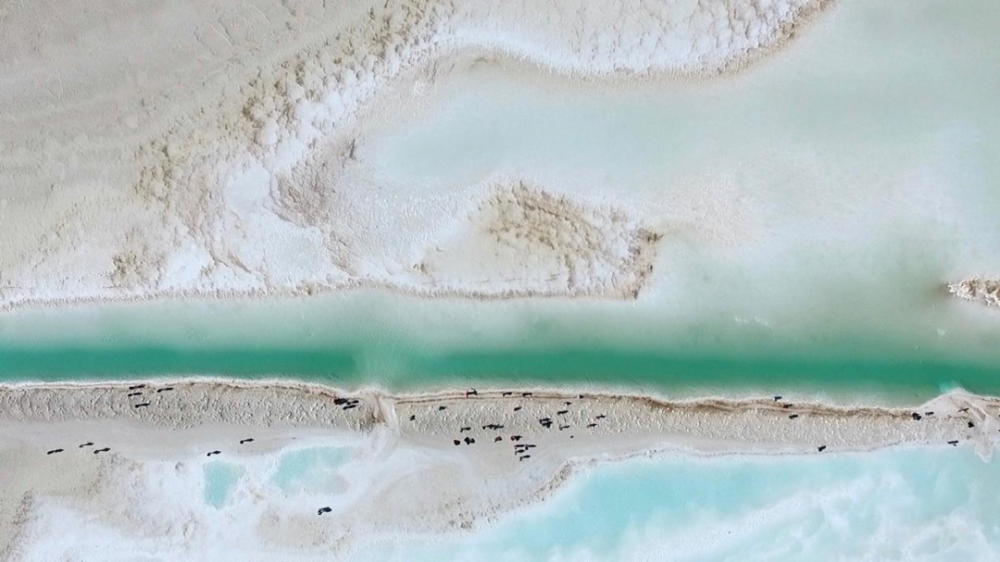 青海|这一圈是我看过的山海情