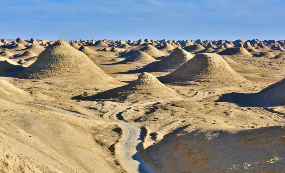 青海|这一圈是我看过的山海情