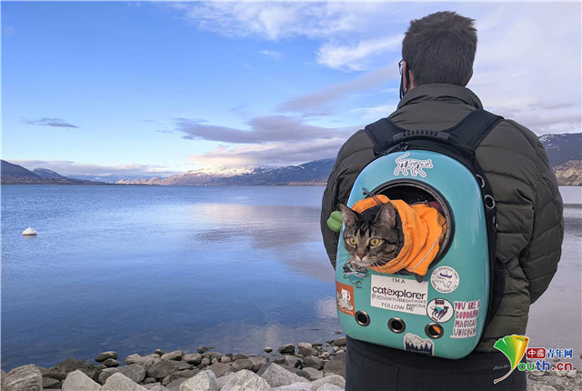 加拿大猫咪和铲屎官徒步旅行皮划艇嗨翻天