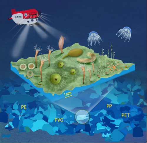 宋希坤|天堂还是陷阱？深海海底发现塑料“绿洲”