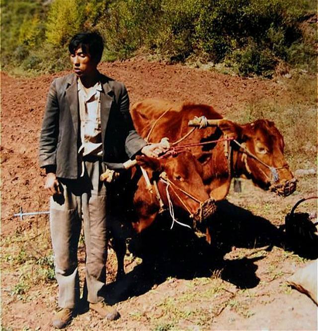 村民家门口挖地,发现秦始皇宝物,三次被定为赝品,如今价值过亿