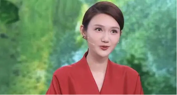 从诗词大会到央视春晚幽默气质型的女主持带你认识新面孔龙洋