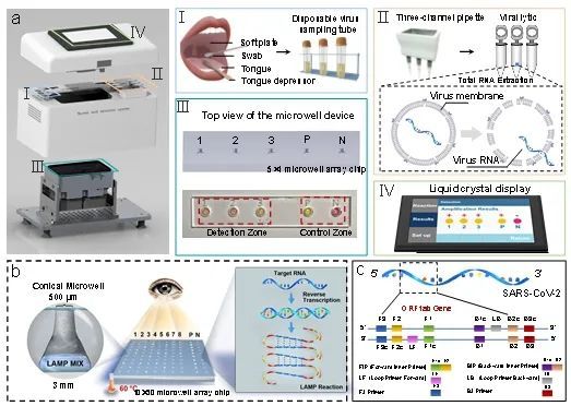 北京航空航天大学|北航常凌乾等《Research》：核酸快速检测微纳芯片及便携式检测平台