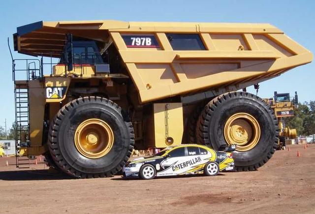 蓝鲸|看了对比图才发现，这些东西居然这么大…