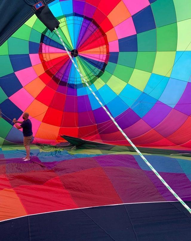 蓝鲸|看了对比图才发现，这些东西居然这么大…