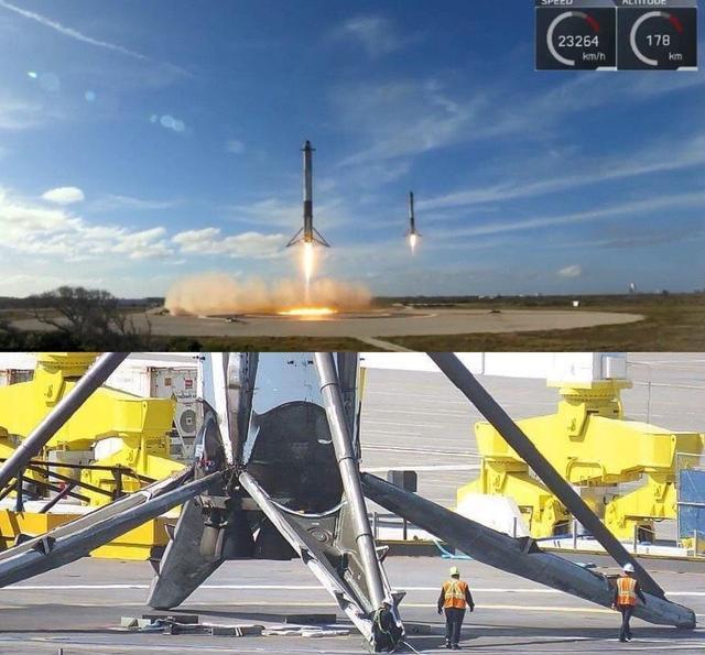 蓝鲸|看了对比图才发现，这些东西居然这么大…