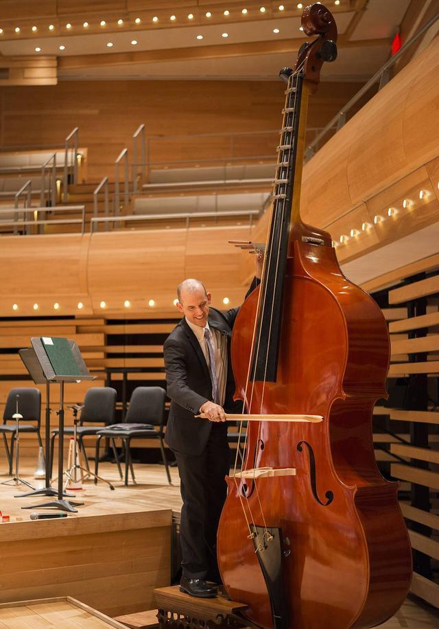 蓝鲸|看了对比图才发现，这些东西居然这么大…