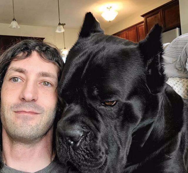 蓝鲸|看了对比图才发现，这些东西居然这么大…