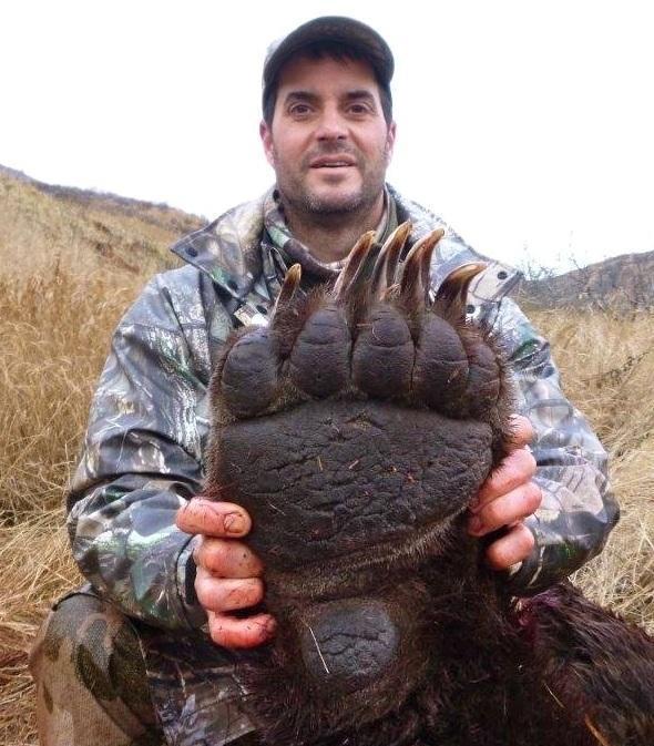 蓝鲸|看了对比图才发现，这些东西居然这么大…