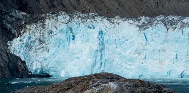 蓝鲸|看了对比图才发现，这些东西居然这么大…