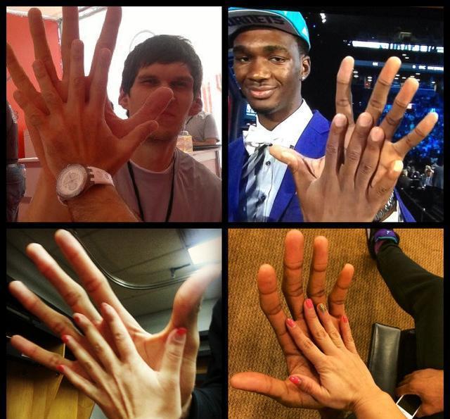 蓝鲸|看了对比图才发现，这些东西居然这么大…