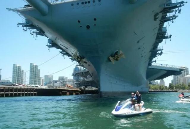 蓝鲸|看了对比图才发现，这些东西居然这么大…