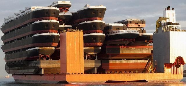 蓝鲸|看了对比图才发现，这些东西居然这么大…