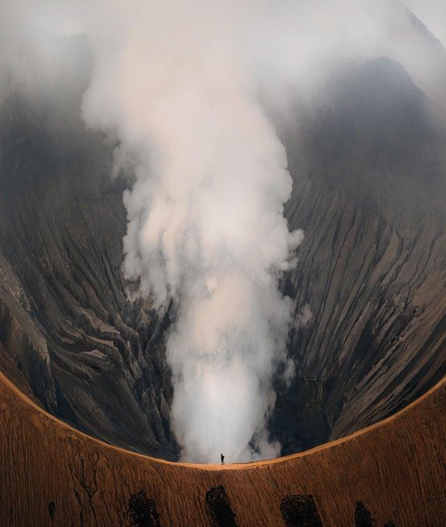 蓝鲸|看了对比图才发现，这些东西居然这么大…