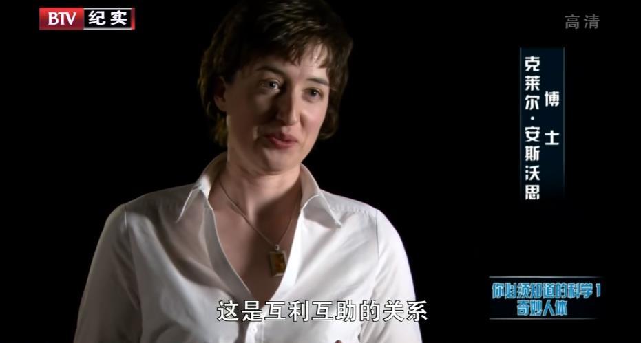 米粒妈|这部BBC最不正经的科教片，看得我笑出了鹅叫