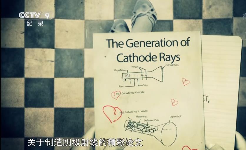 米粒妈|这部BBC最不正经的科教片，看得我笑出了鹅叫