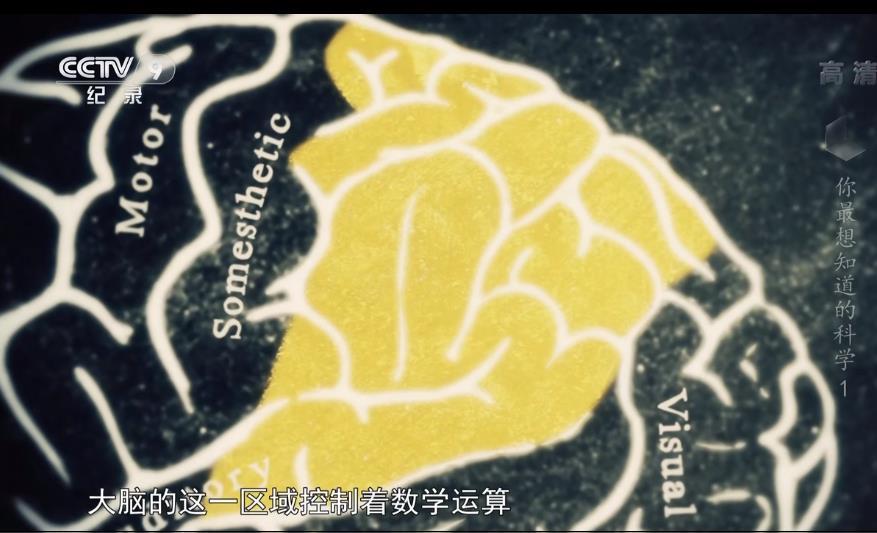 米粒妈|这部BBC最不正经的科教片，看得我笑出了鹅叫