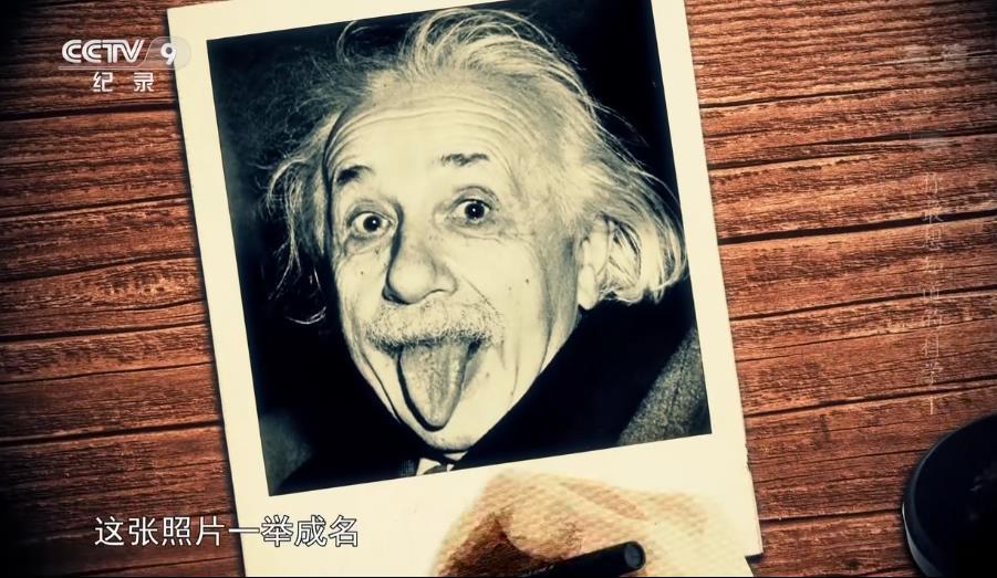 米粒妈|这部BBC最不正经的科教片，看得我笑出了鹅叫