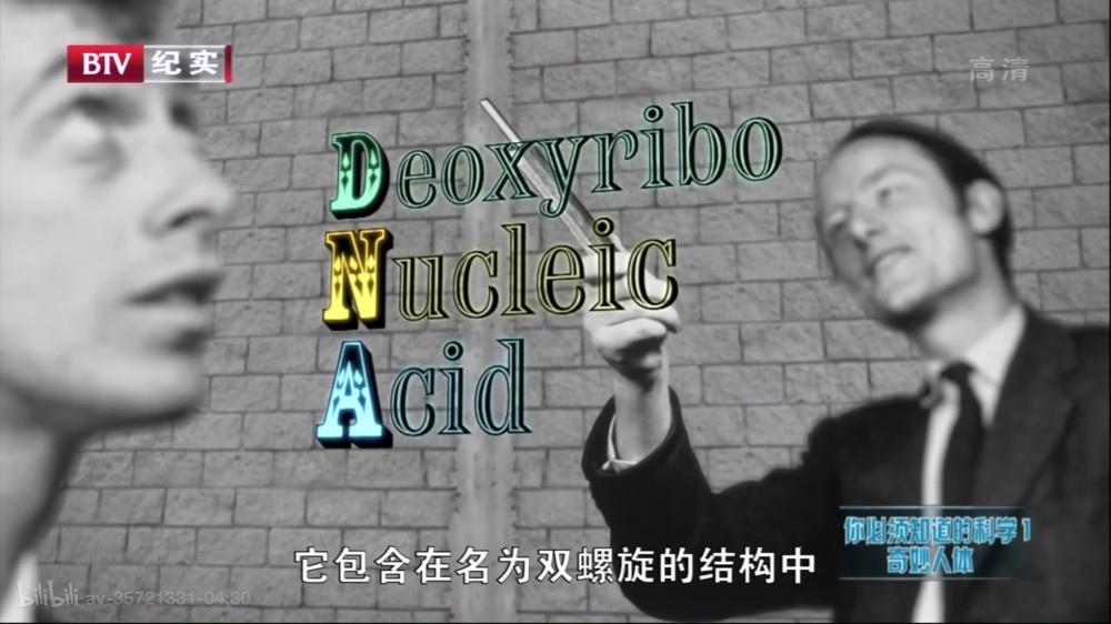 米粒妈|这部BBC最不正经的科教片，看得我笑出了鹅叫