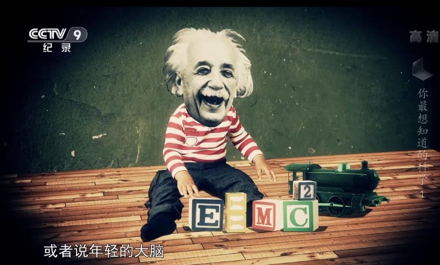 米粒妈|这部BBC最不正经的科教片，看得我笑出了鹅叫